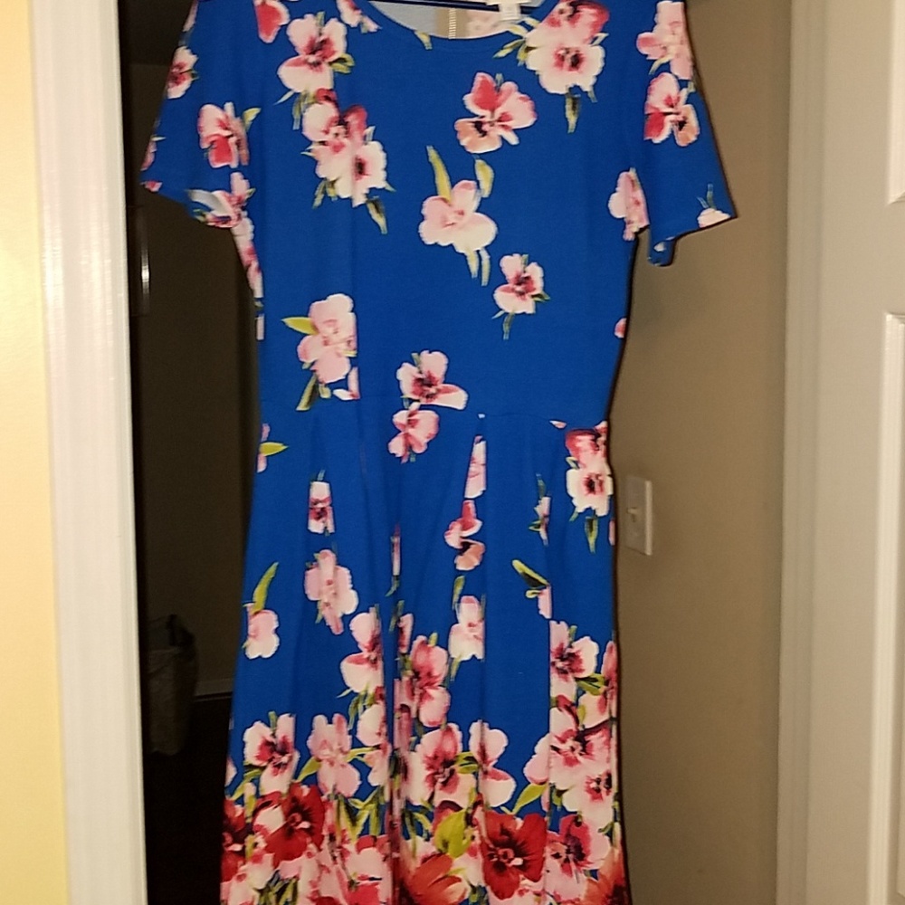 HTF GORGEOUS XL Lularoe Amelia Dress